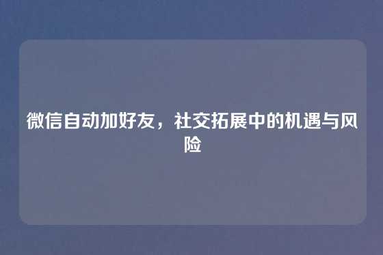 微信自动加好友，社交拓展中的机遇与风险