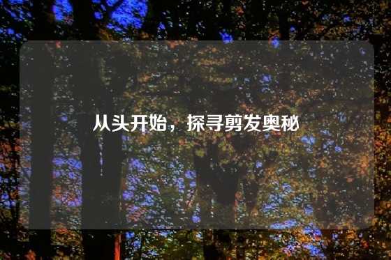 从头开始，探寻剪发奥秘