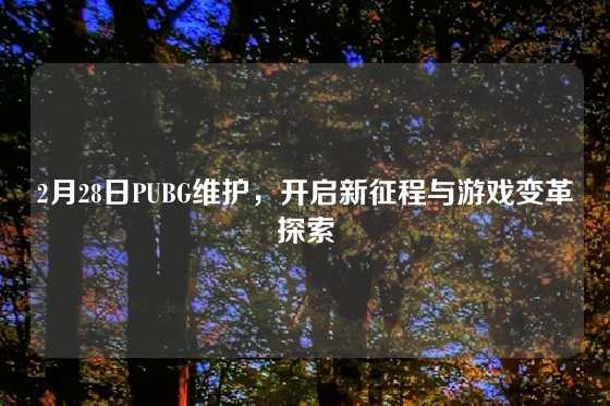2月28日PUBG维护，开启新征程与游戏变革探索