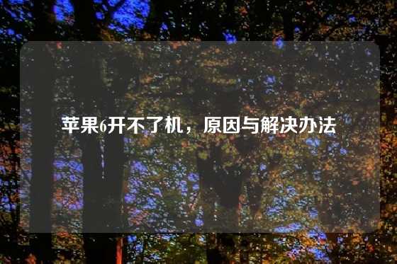 苹果6开不了机，原因与解决办法
