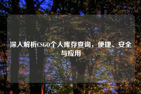 深入解析CSGO个人库存查询，便捷、安全与应用