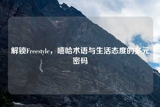 解锁Freestyle，嘻哈术语与生活态度的多元密码