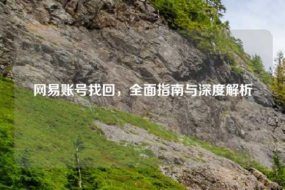 网易账号找回，全面指南与深度解析