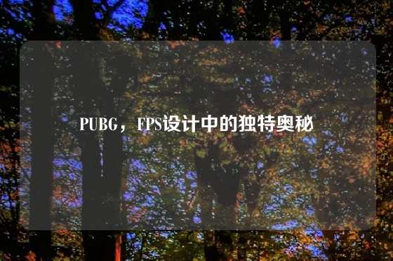 PUBG，FPS设计中的独特奥秘