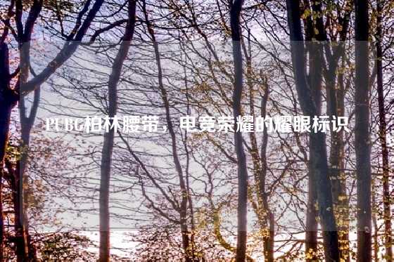 PUBG柏林腰带，电竞荣耀的耀眼标识