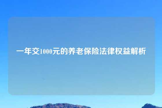 一年交1000元的养老保险法律权益解析