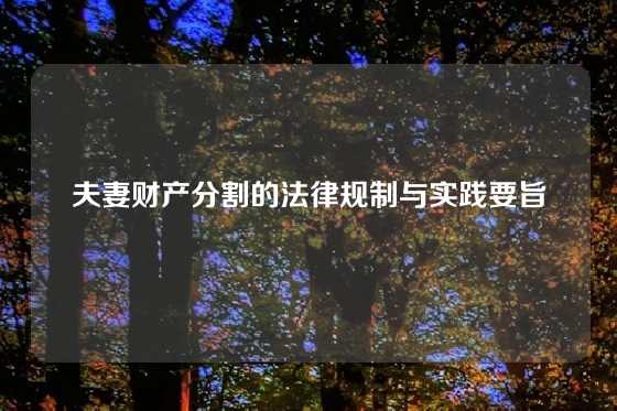 夫妻财产分割的法律规制与实践要旨