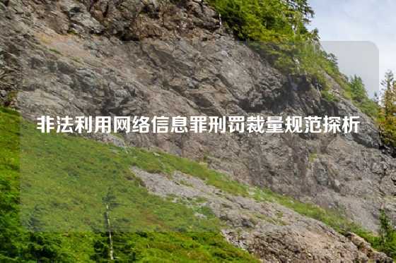 非法利用网络信息罪刑罚裁量规范探析