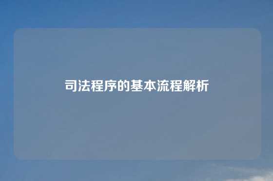 司法程序的基本流程解析