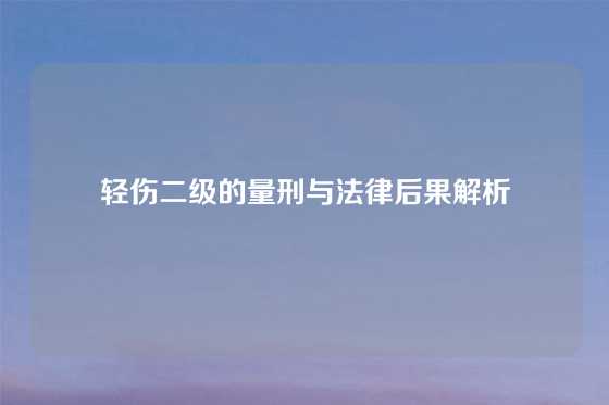 轻伤二级的量刑与法律后果解析