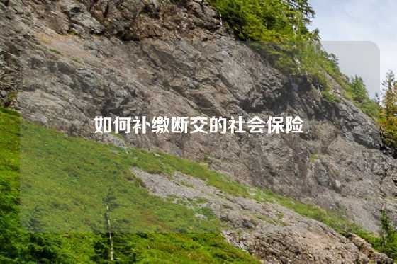 如何补缴断交的社会保险