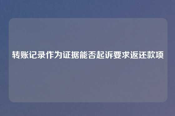转账记录作为证据能否起诉要求返还款项