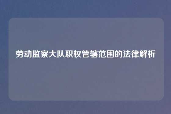 劳动监察大队职权管辖范围的法律解析