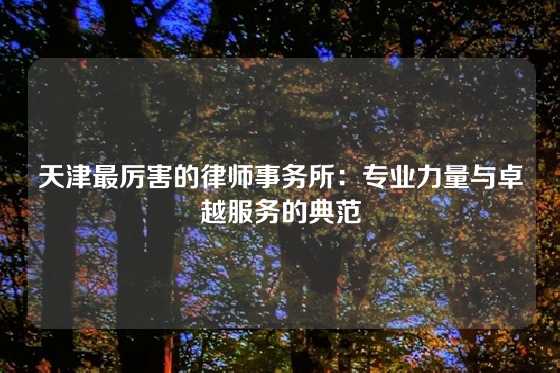 天津最厉害的律师事务所：专业力量与卓越服务的典范