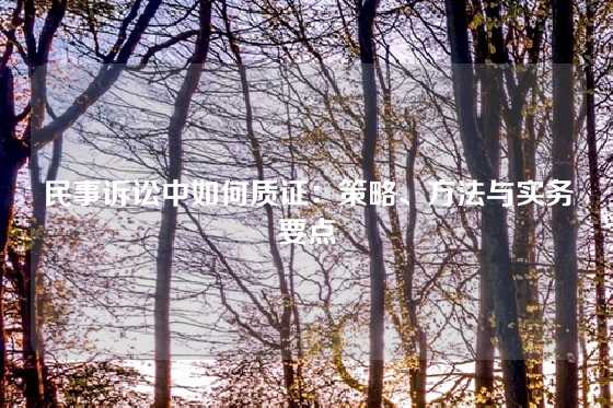 民事诉讼中如何质证：策略、方法与实务要点