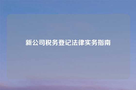 新公司税务登记法律实务指南