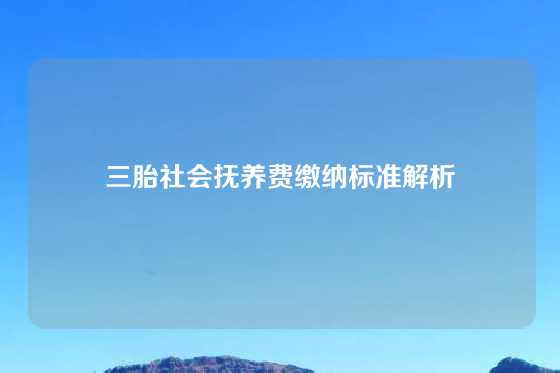 三胎社会抚养费缴纳标准解析