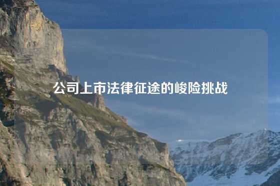 公司上市法律征途的峻险挑战