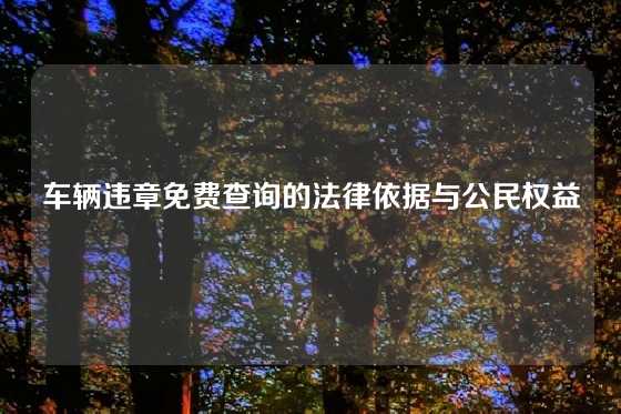 车辆违章免费查询的法律依据与公民权益