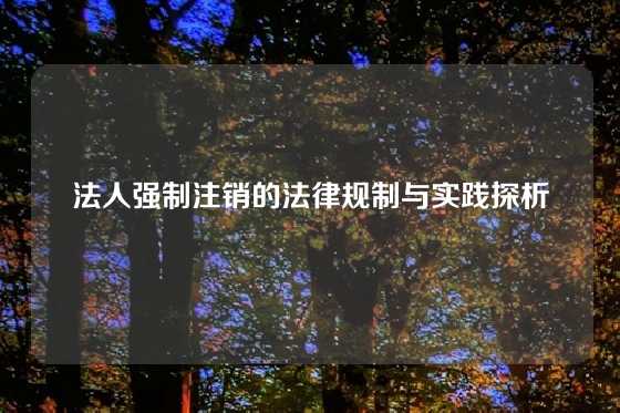 法人强制注销的法律规制与实践探析