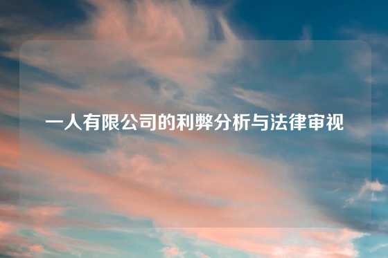 一人有限公司的利弊分析与法律审视
