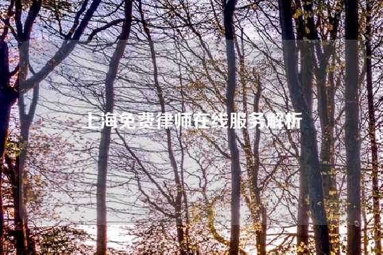 上海免费律师在线服务解析