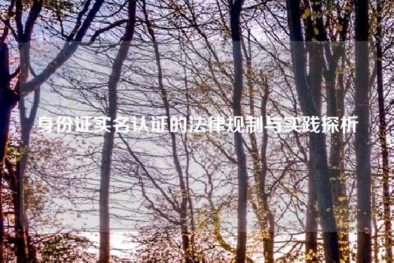 身份证实名认证的法律规制与实践探析