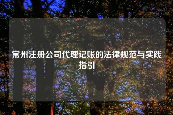 常州注册公司代理记账的法律规范与实践指引