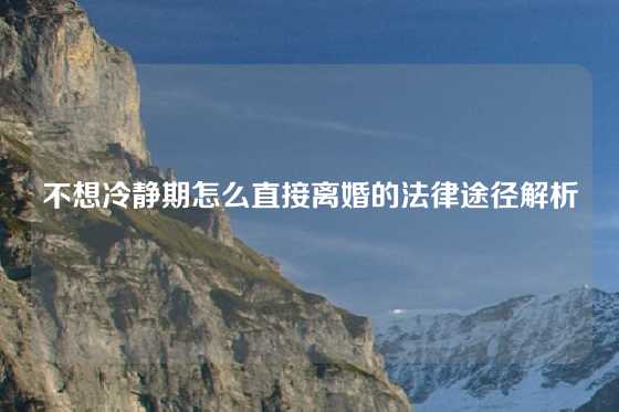 不想冷静期怎么直接离婚的法律途径解析