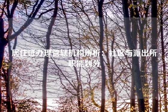 居住证办理管辖机构辨析：社区与派出所职能划分