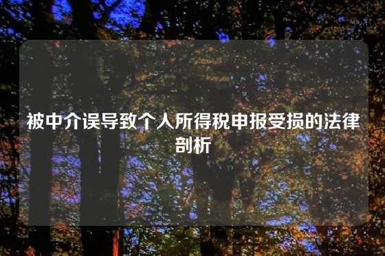 被中介误导致个人所得税申报受损的法律剖析