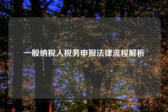 一般纳税人税务申报法律流程解析