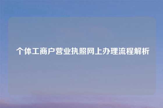  个体工商户营业执照网上办理流程解析