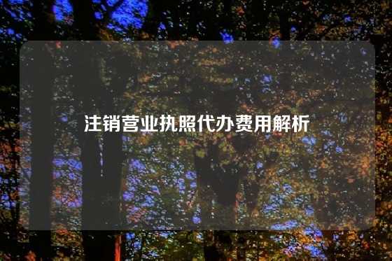 注销营业执照代办费用解析