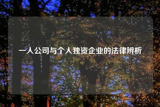 一人公司与个人独资企业的法律辨析
