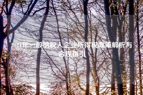 2021年一般纳税人企业所得税政策解析与合规指引