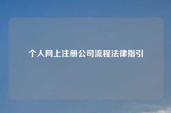 个人网上注册公司流程法律指引