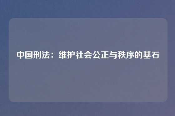 中国刑法：维护社会公正与秩序的基石