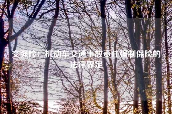 交强险：机动车交通事故责任强制保险的法律界定