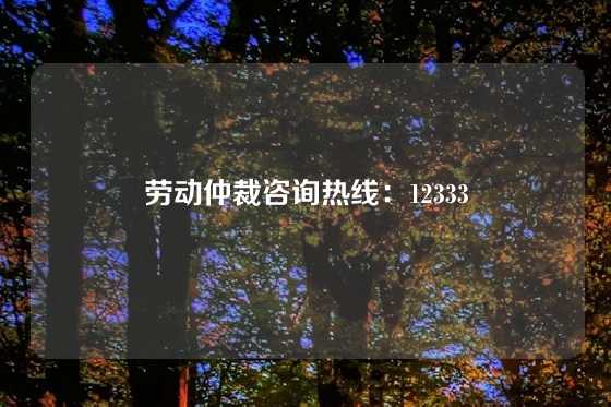 劳动仲裁咨询热线：12333