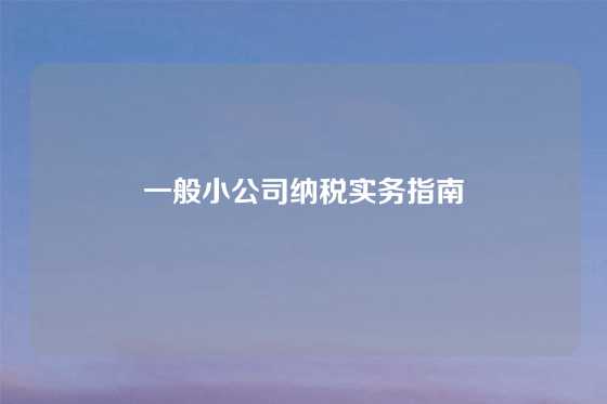 一般小公司纳税实务指南
