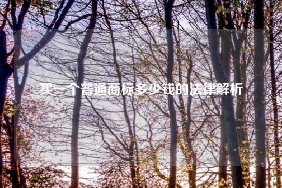 买一个普通商标多少钱的法律解析