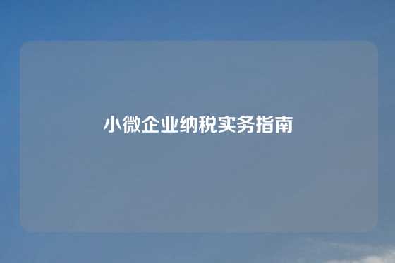 小微企业纳税实务指南