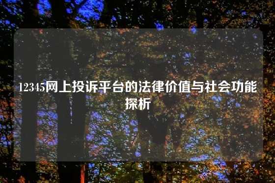 12345网上投诉平台的法律价值与社会功能探析