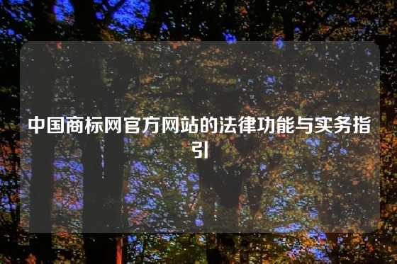 中国商标网官方网站的法律功能与实务指引