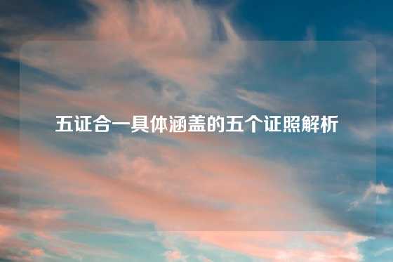 五证合一具体涵盖的五个证照解析
