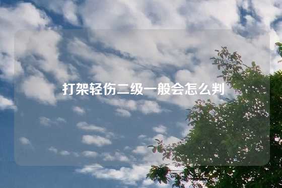  打架轻伤二级一般会怎么判