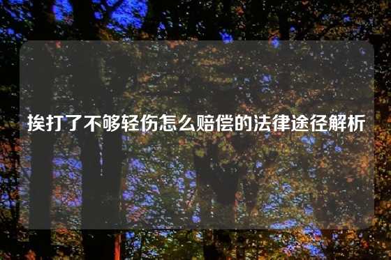挨打了不够轻伤怎么赔偿的法律途径解析