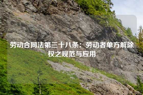 劳动合同法第三十八条：劳动者单方解除权之规范与应用