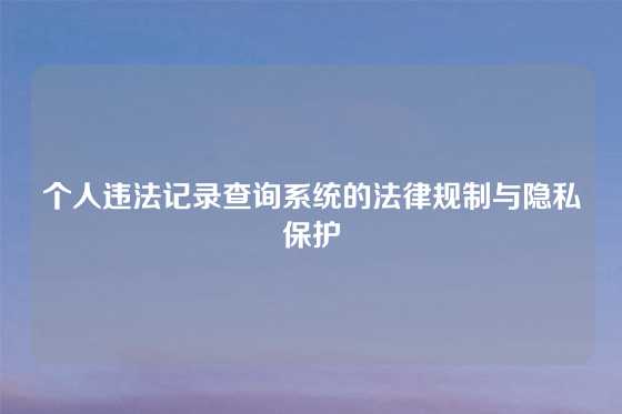 个人违法记录查询系统的法律规制与隐私保护